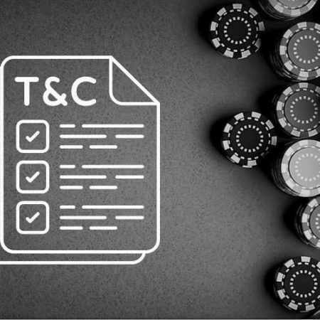 Casino Terms and Conditions: Essential Information